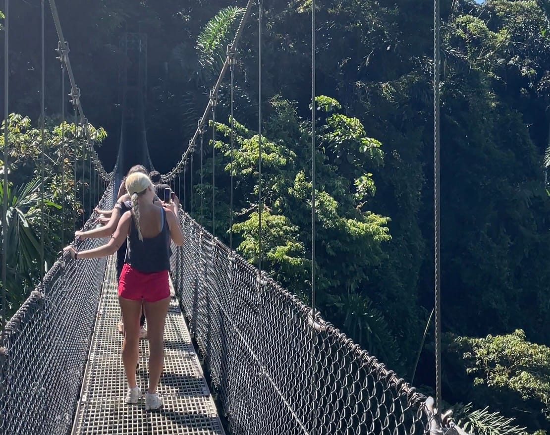 Mistico hanging bridges and forest private tour with transport.