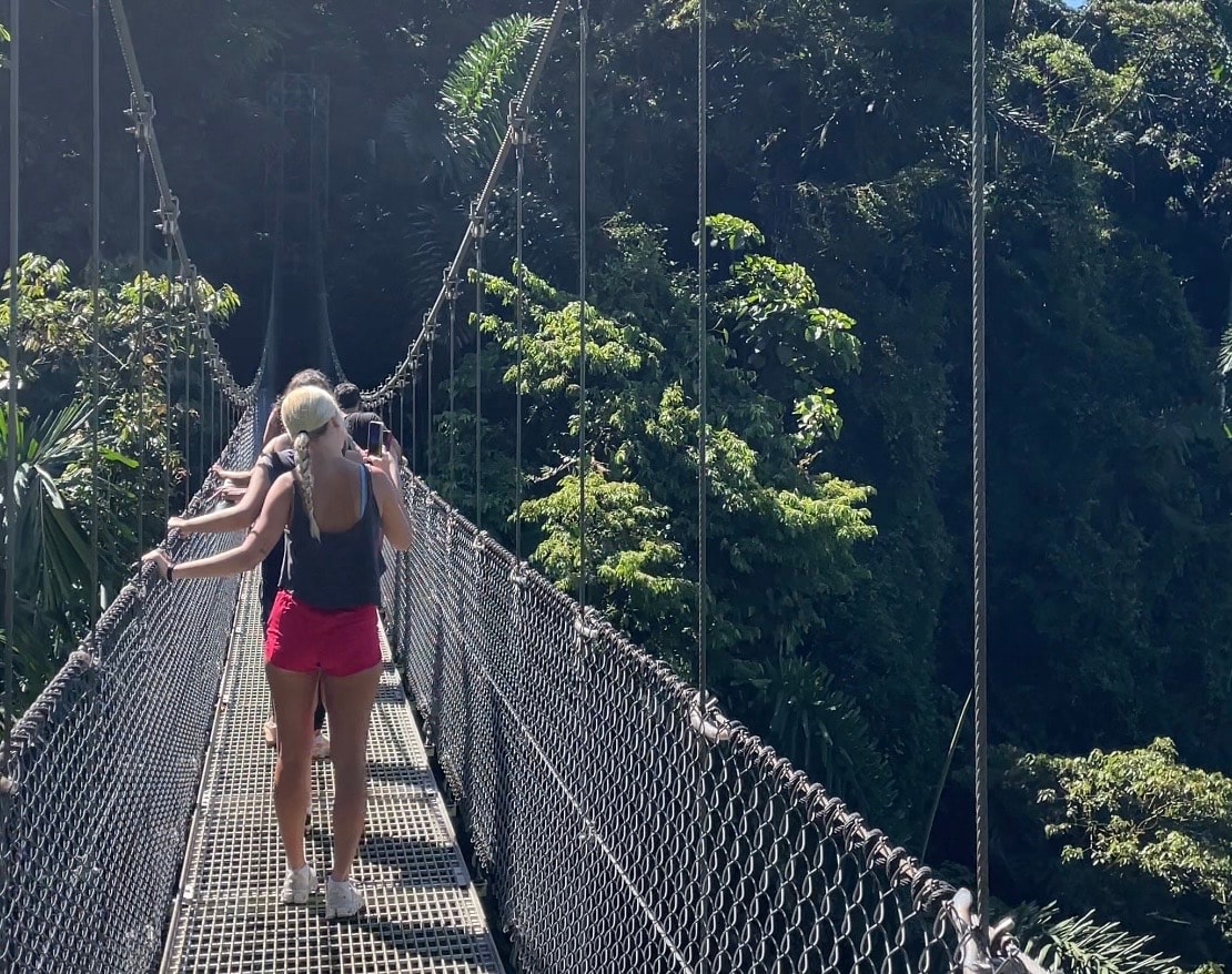 Tour privado de Puentes colgantes y bosque de Mistico con transporte.